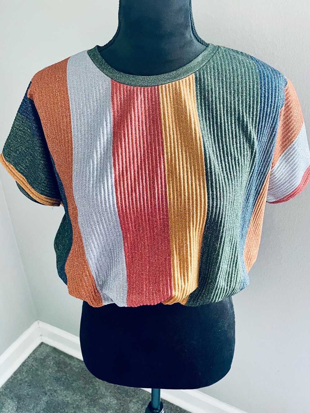 Zara Multicolor Stripe Ribbed Short Sleeve Top
